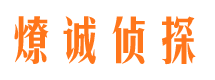 高陵市场调查